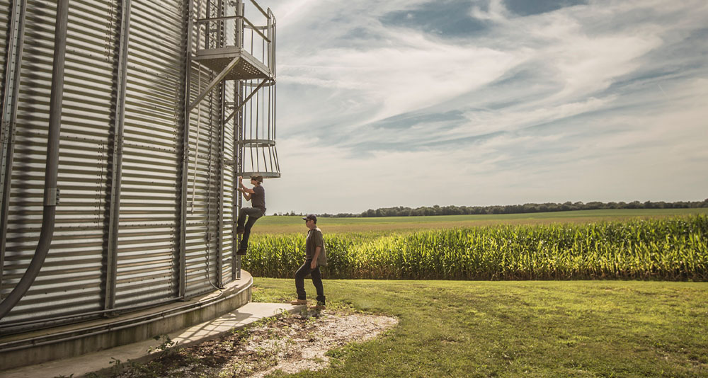 father and son climbing a ladder to a grain bin
